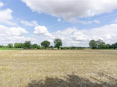 Picture 25
